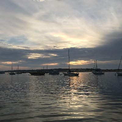 anonfriendE's profile picture. I'm trash who never uses this platform. They/Them 27 is not all of what it’s chimed up to be