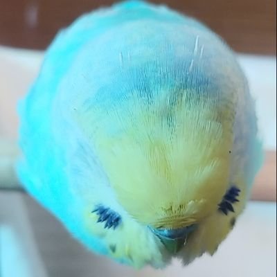 ちかさんのプロフィール画像