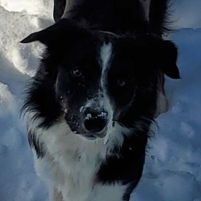 T3rribleLi3's profile picture. Just visiting