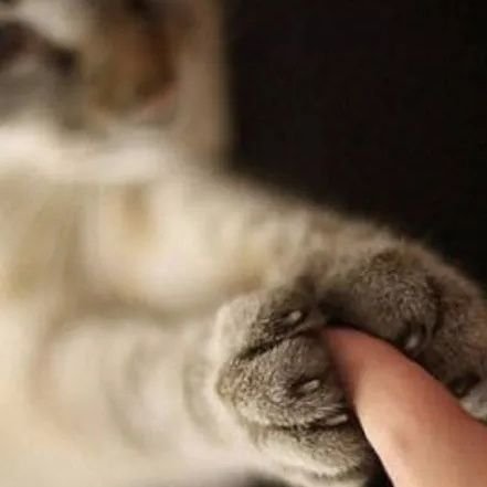 ygA0mazcnqrvYCK's profile picture. 