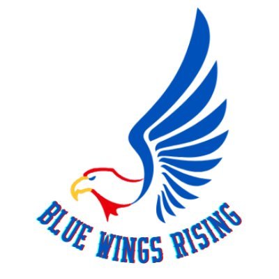 bluewingsrise Profile Picture