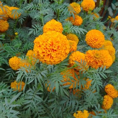 Pusporoy146's profile picture. 