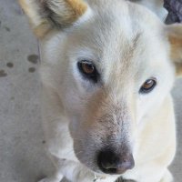 ５本指靴下 (@8wpeqjcma1duezj) 's Twitter Profile Photo