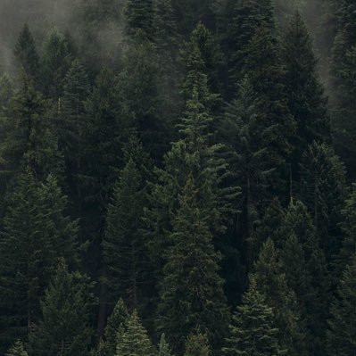 a49470984's profile picture. 