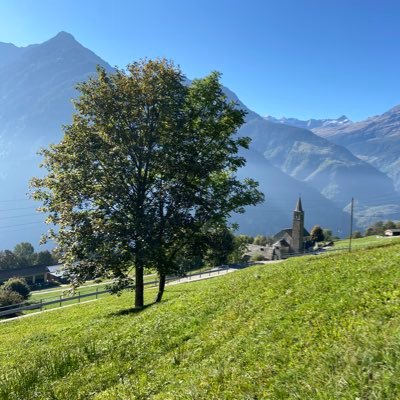 galitdo's profile picture. 