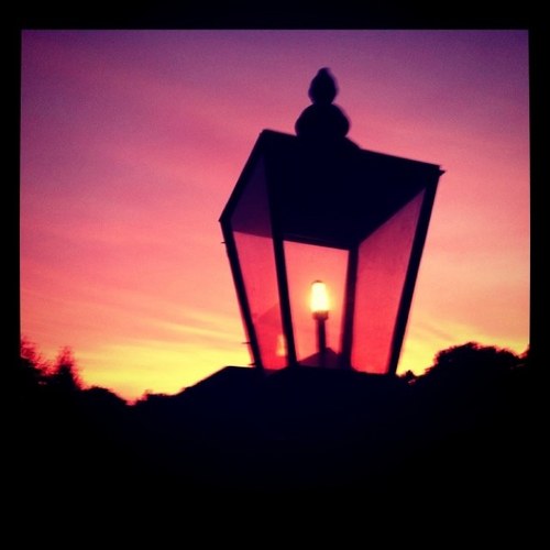 SpeaktheTruth__'s profile picture. 