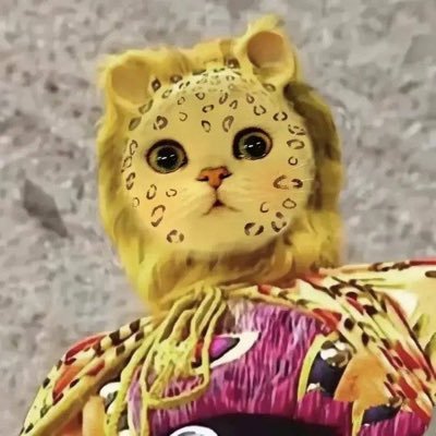 4I5FCdV9BUBA3Zv's profile picture. 