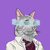 KC 💫 (@kucingcrypto_) 's Twitter Profile