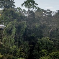 Jerome Chave (@jeromechave) 's Twitter Profile