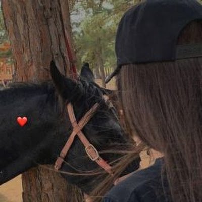 SVb8MaMafp6yHgG's profile picture. 