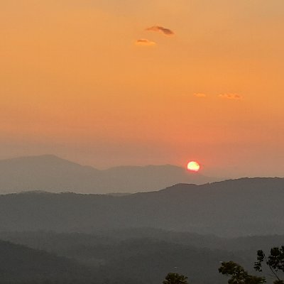 DerangedHair's profile picture. STEM girl.