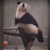 candeee (@candeeeboom) Twitter profile photo