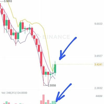 _ollar's profile picture. I am a little boy in my early 20's who has the knowledge of crytpto currency and blockchain