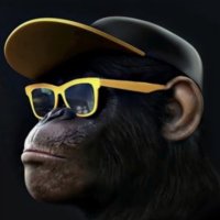 Daniele Cammareri (@daniele_z900) 's Twitter Profile