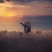 Subject matter specialists 🇬🇧🇿🇦 (@rfhatu) 's Twitter Profile