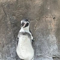 兜 (@evuqx) Twitter profile photo