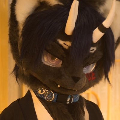 _ZORRR_さんのプロフィール画像