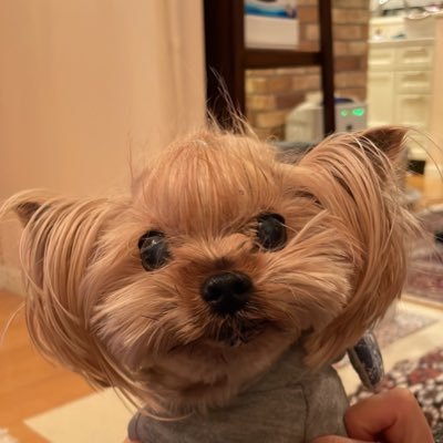 jyou1235's profile picture. 発展途上国で働くぞ｜きままにつぶやかせてね｜小さな不動産屋さんを経営｜RICE｜ひろしまの小学校で平和は平和の為に行動しないと守れないことを学ぶ｜無言フォロー失礼します