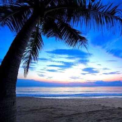 getover2022's profile picture. 