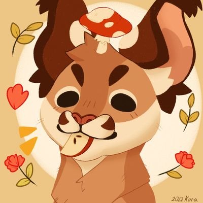 Koraさんのプロフィール画像