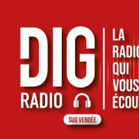Dig Radio Sud Vendée(@Digsudvendee) 's Twitter Profile Photo