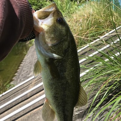 8CqqgMxghyhJ2Fw's profile picture. 筋トレ
釣り
ゲーム
多趣味成人