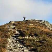 Romit Samanta (@dr_romster) 's Twitter Profile