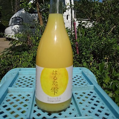 長崎県長与町で農業をしています。
主に柑橘類と稲作をしています。
アップしたり、フォローしたり、遅いですがお手柔らかにお願いします。
はるかジュース販売しています。
ふるさと納税の返礼品載せてます。
#はるかみかん#ジュース#長崎#長与町#農業#美味しい#田島柑橘園#ふるさと納税#オンラインショップ「おむすび」
