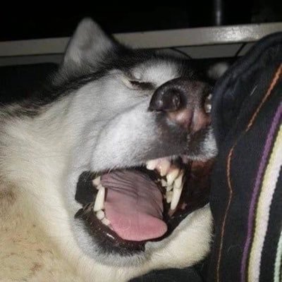 r_y_o1875's profile picture. 