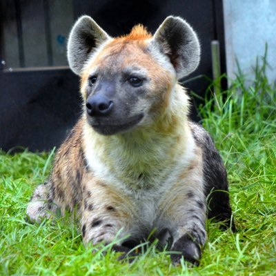 E86Lo's profile picture. 船橋でXでの出会い求めてる人です業者は即ブロックします 趣味はXでのオカズ集めとオナニー #童貞 #セフレ募集 #舐め犬希望 #裏垢男子 #裏垢女子と繋がりたい #彼女募集中