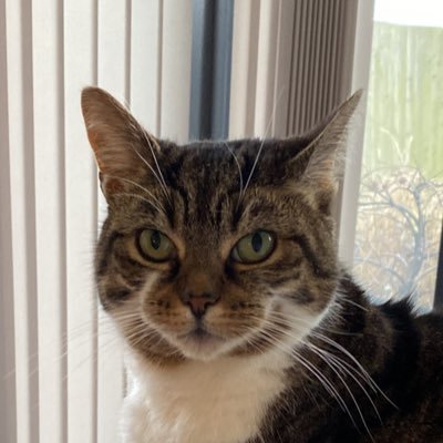 ggrant_grant's profile picture. Socialist. Woke. Remainer. My silence isn’t because you’ve won with intellect; I just don’t want to lower my IQ.