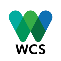 WCS EU office (@wcsbrussels) 's Twitter Profile Photo WCS EU office (@wcsbrussels) 's Twitter Profile Photo