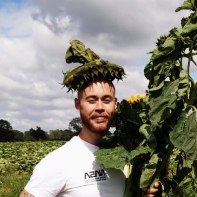 _MattOsb_'s profile picture. A cyber student 👨‍🎓 | Hoping my future shines as bright as my head 🥚