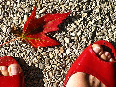 missjetlagged's profile picture. Snoopy Calgarian. Lover of weird history, architecture, art, travel, old ships, planes & maps, good urban design, neuroscience and birds.