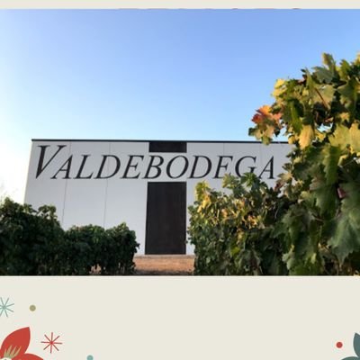 Bodega familiar fundada en 1999 en San Bernardo, elaboramos unos vinos con una estricta selección de la uva, para obtener vinos armoniosos de los que disfrutar.