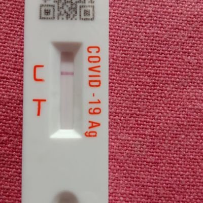 rohitkoshie's profile picture. 