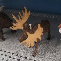 M.O.O.S.E. (@backup_moose) 's Twitter Profile