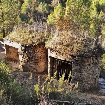 Prescriptor del vi català, principalment de la DO Pla de Bages