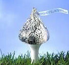 GolfHershey's profile picture. 