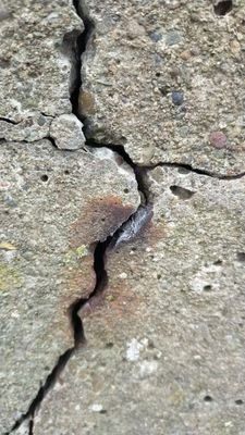 salessolutionUS's profile picture. 