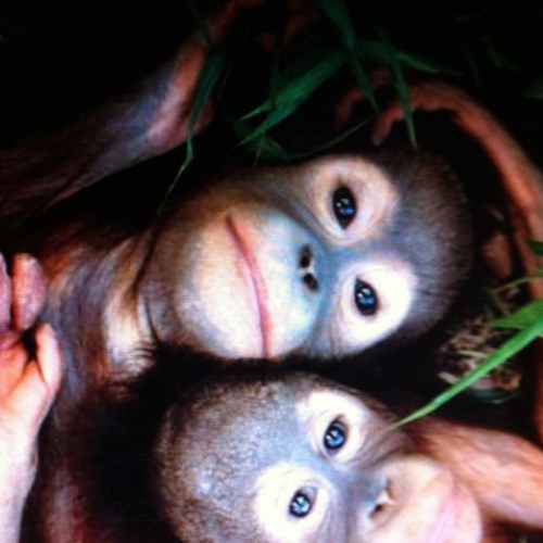 samanthaforka's profile picture. Abogada/ Tamales La Tradicion / Amor Paz & Rock n Roll