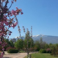 Bulgarian Center for Bioethics (BCB) (@bioethics_bg) 's Twitter Profile