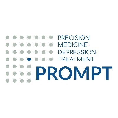 Multidisciplinary @ERANET_PerMed funded european consortium | Toward  Precision Medicine for the Prediction of Treatment Response in Major Depressive Disorder