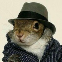 Mr. Squirrel(@MrSquirrell24) 's Twitter Profile Photo