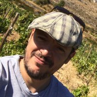 Francesc Nicolás (@francescnicolas) 's Twitter Profile