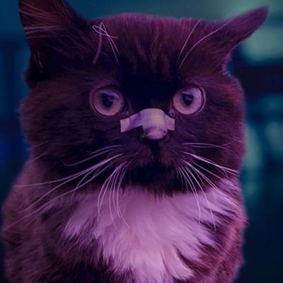 'единственное что можно сказать точно - мы все на том же куске скалы, который несётся в пространстве бесконечного космоса'