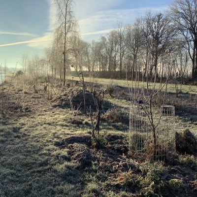 Roosje19991's profile picture. Voedselbos • Biologisch • Antivaxx • Anti QR maatschappij