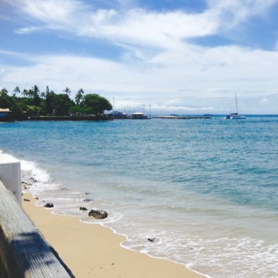 zatu_kun's profile picture. ᗦ↞︎◃︎