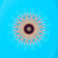 Ansen Seale (@ansenseale) 's Twitter Profile