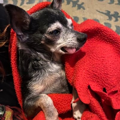 alienmorganism's profile picture. Here to organize 4 racial, economic & health justice/equity #PassNYHealth #MedicareForAll Opinions are mine